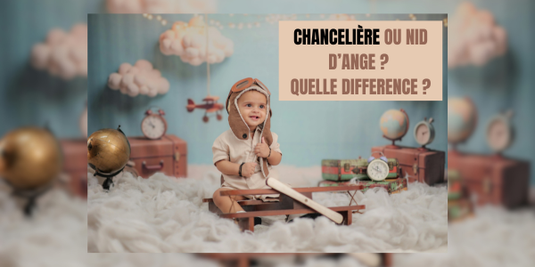 blog-chanceliere-versus-nid-d-ange