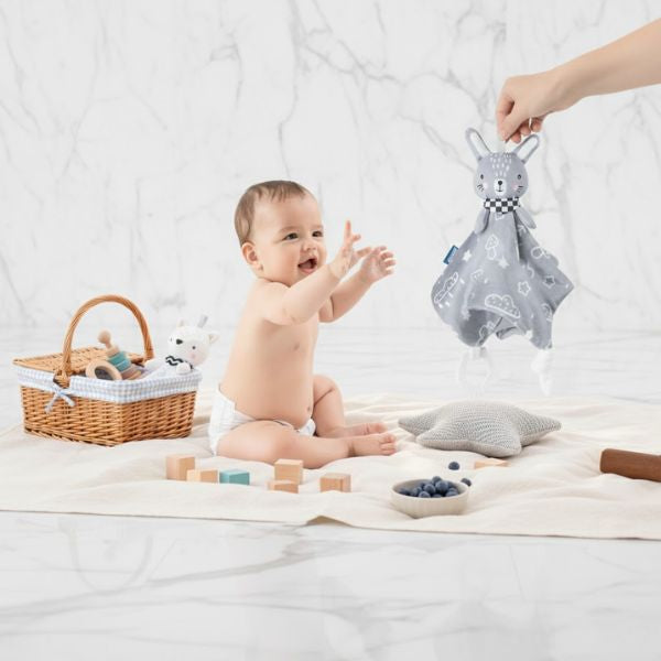 doudou-lapin-plat-mignon